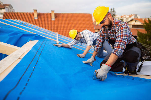 Best Storm Damage Roof Repair  in Franklin, VA