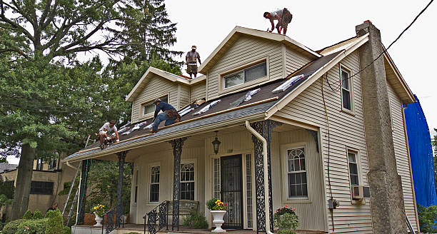 Best Metal Roofing Contractor  in Franklin, VA