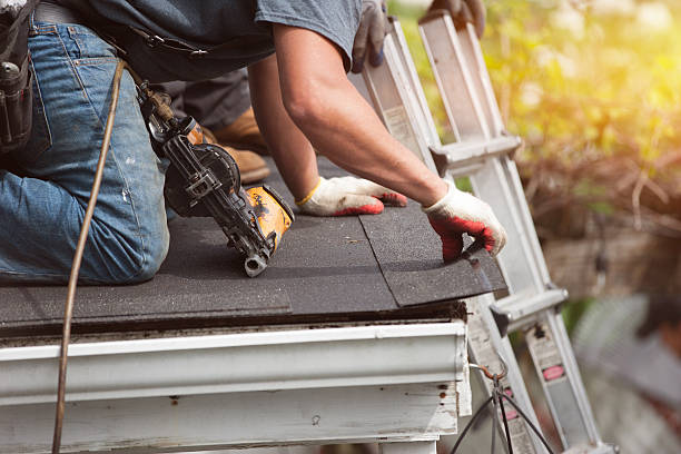 Best Shingle Roofing Installation  in Franklin, VA