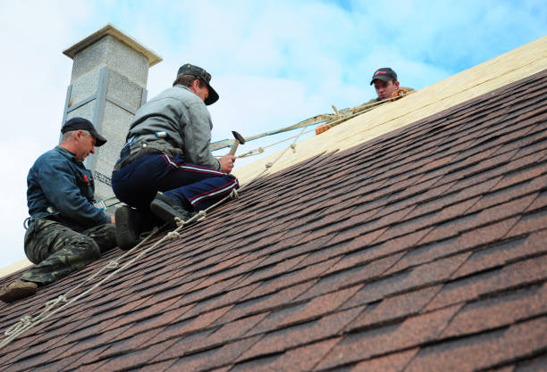 Best Flat Roof Repair Services  in Franklin, VA
