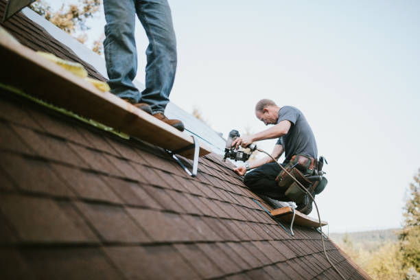 Best Residential Roofing Contractor  in Franklin, VA
